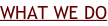 shapeimage_5_link_0